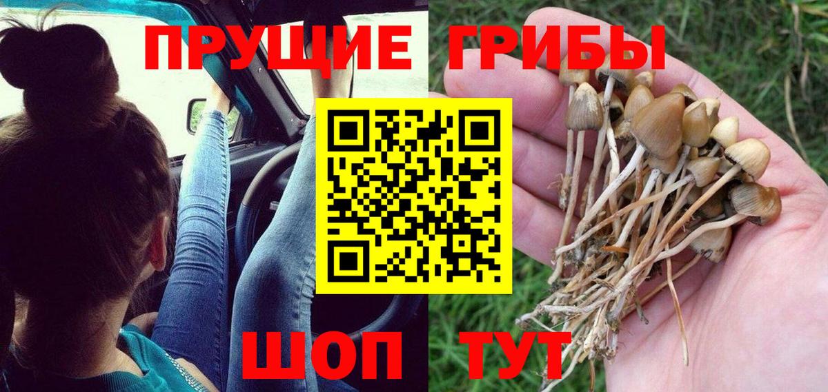 Псилоцибиновые грибы мицелий  Вход с VPN  Псилоцибиновые грибы мицелий  Магнитогорск 