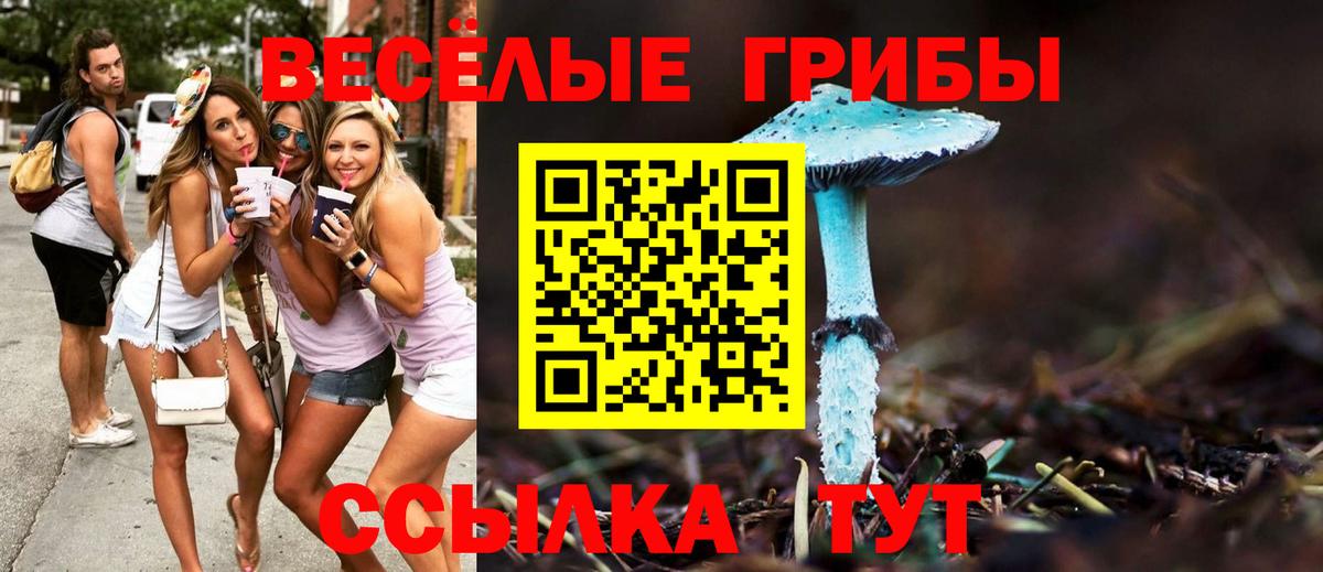 Псилоцибиновые грибы мухоморы Магнитогорск